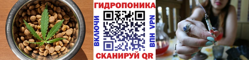 Cannafood марихуана  Шилка 