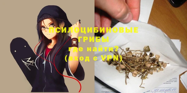 дживик Балабаново