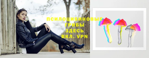 Альфа ПВП Балахна