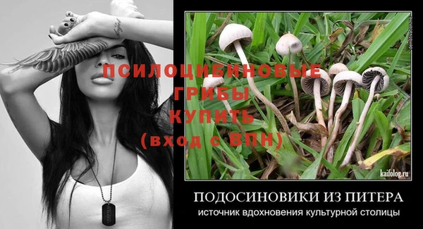дживик Балабаново