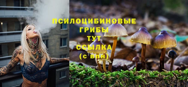 Альфа ПВП Балахна