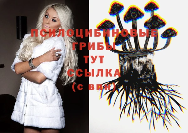 Альфа ПВП Балахна